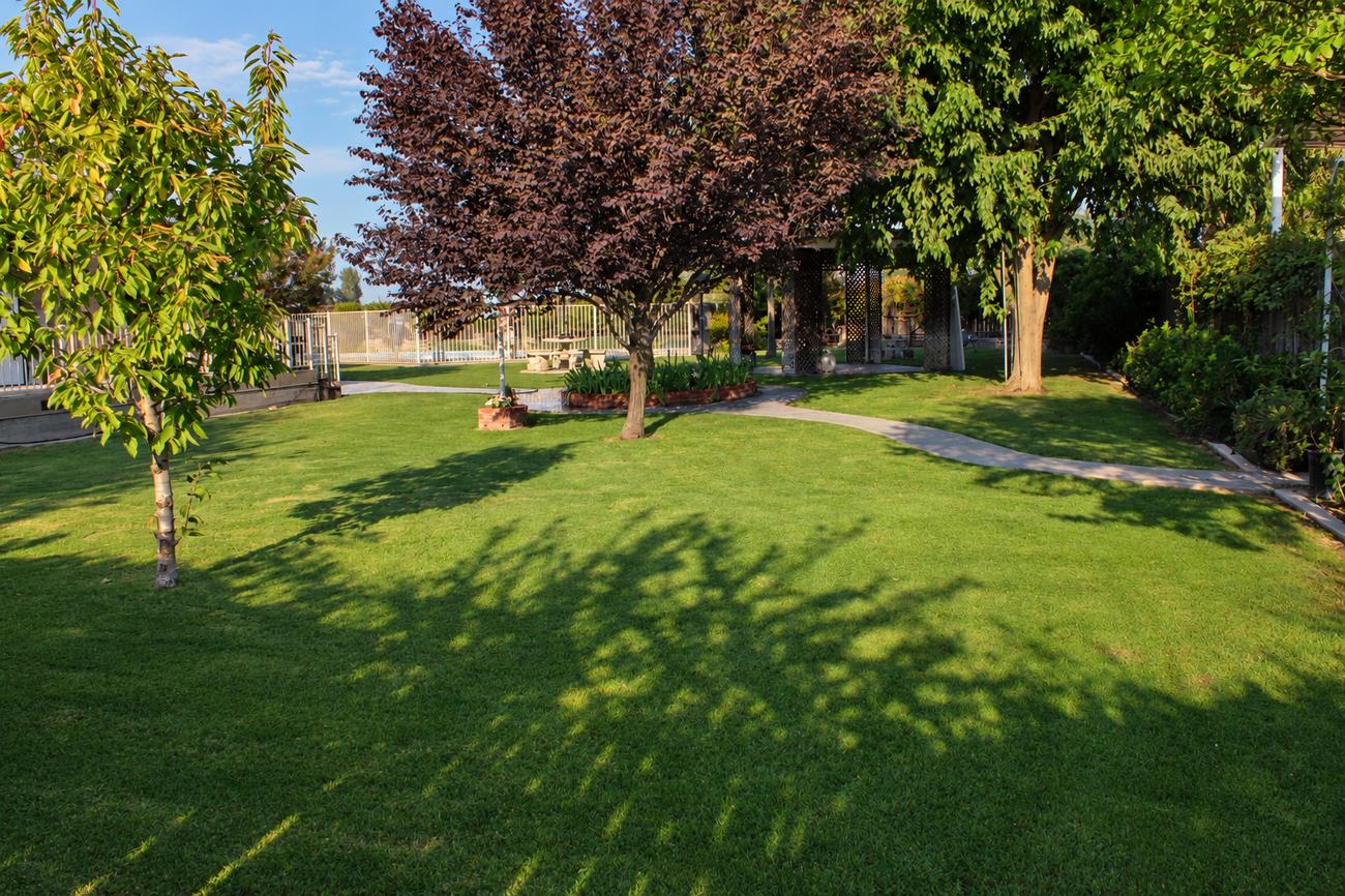 Lawn looking toward the pool gate and gazebo