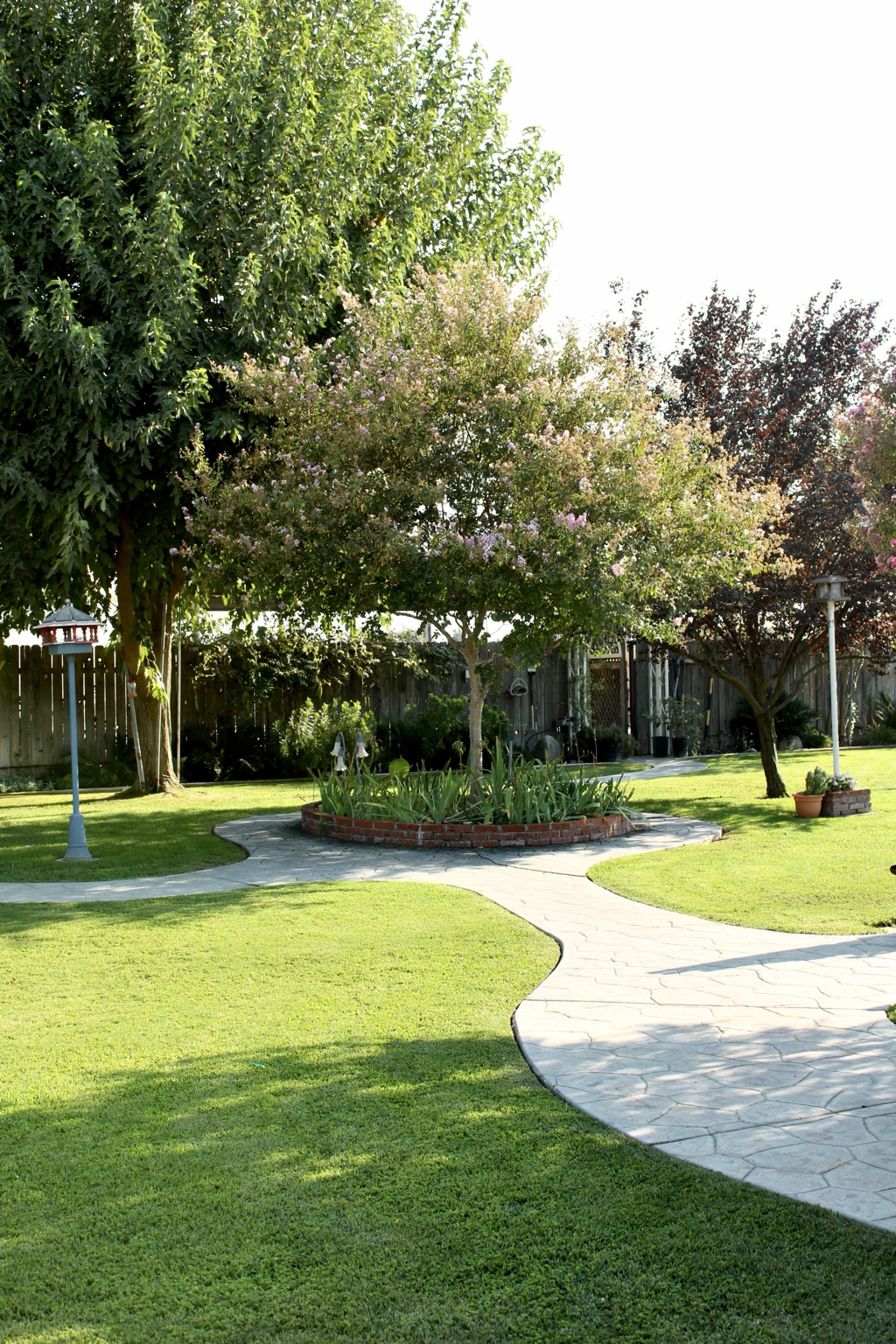Garden path and flowering trees