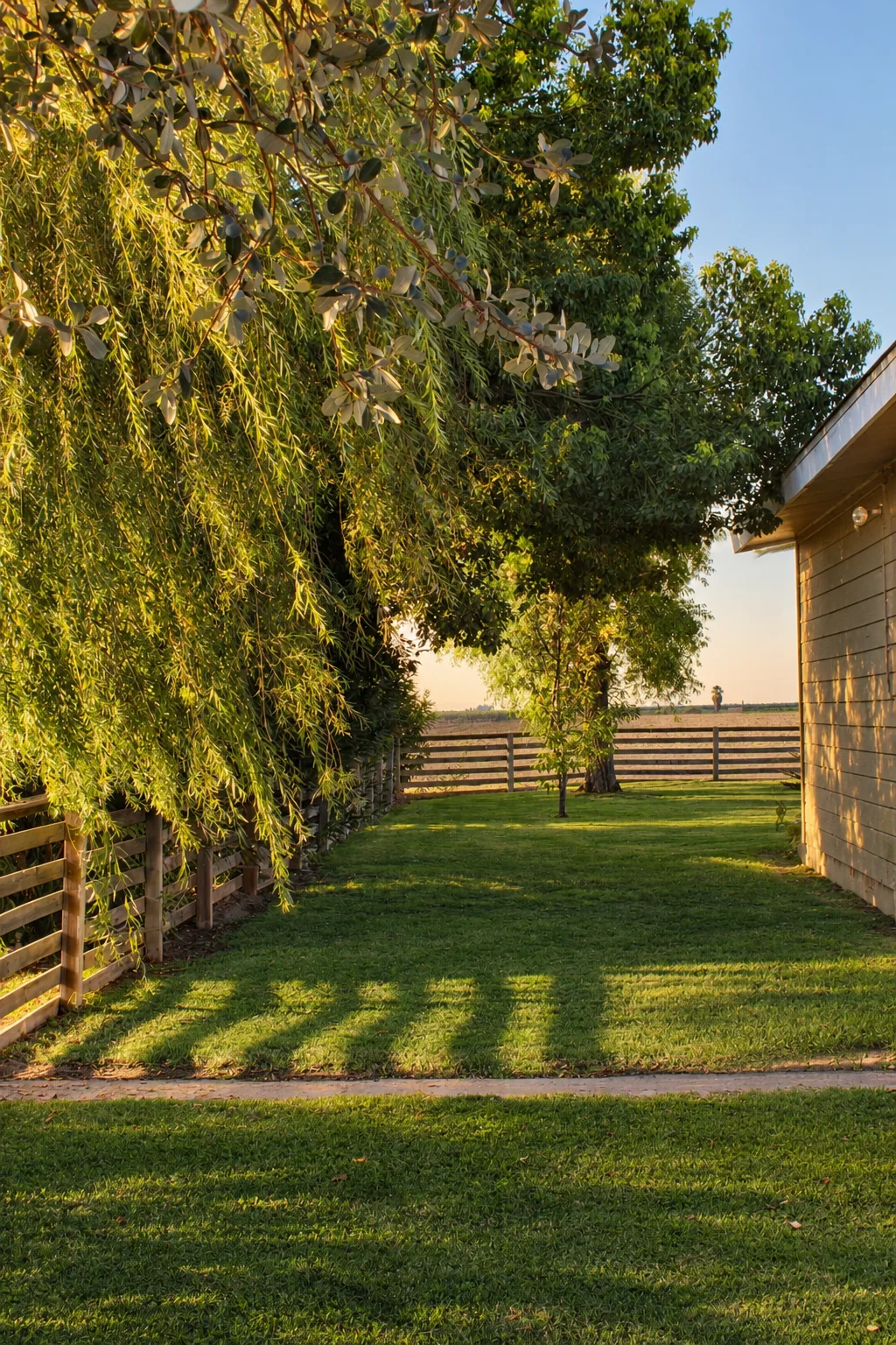 Golden-hour garden at Hacienda Terrabella